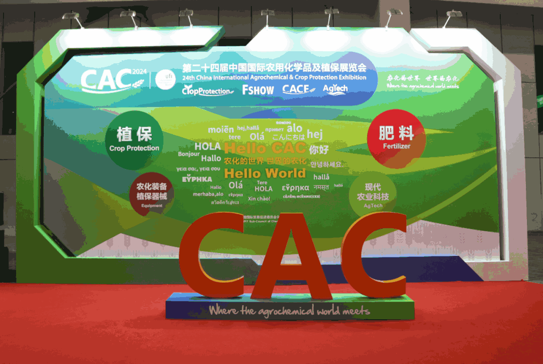 CAC,CACũչ,չ