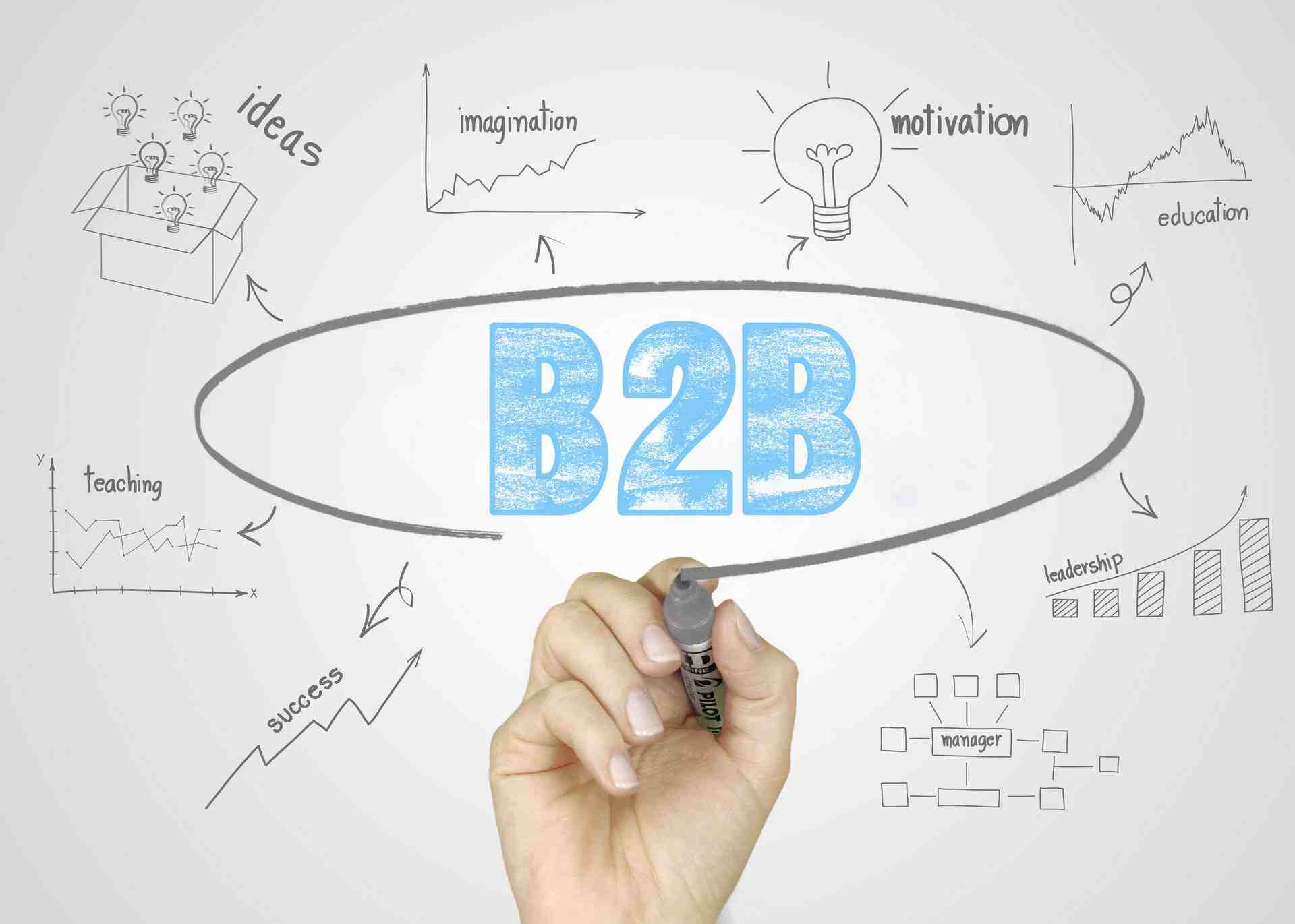 B2Bվ,ʮB2Bվ,B2Bվ
