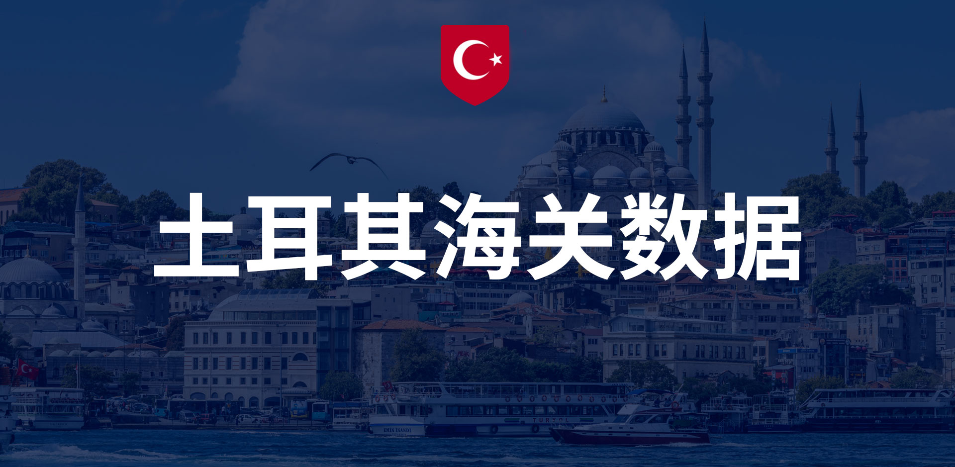 亣-ȫ򺣹ؽ