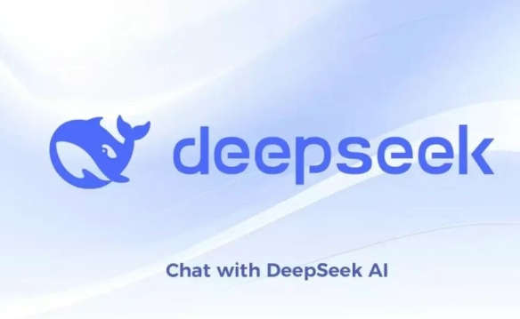 DeepSeek׼óͻó˽ղ